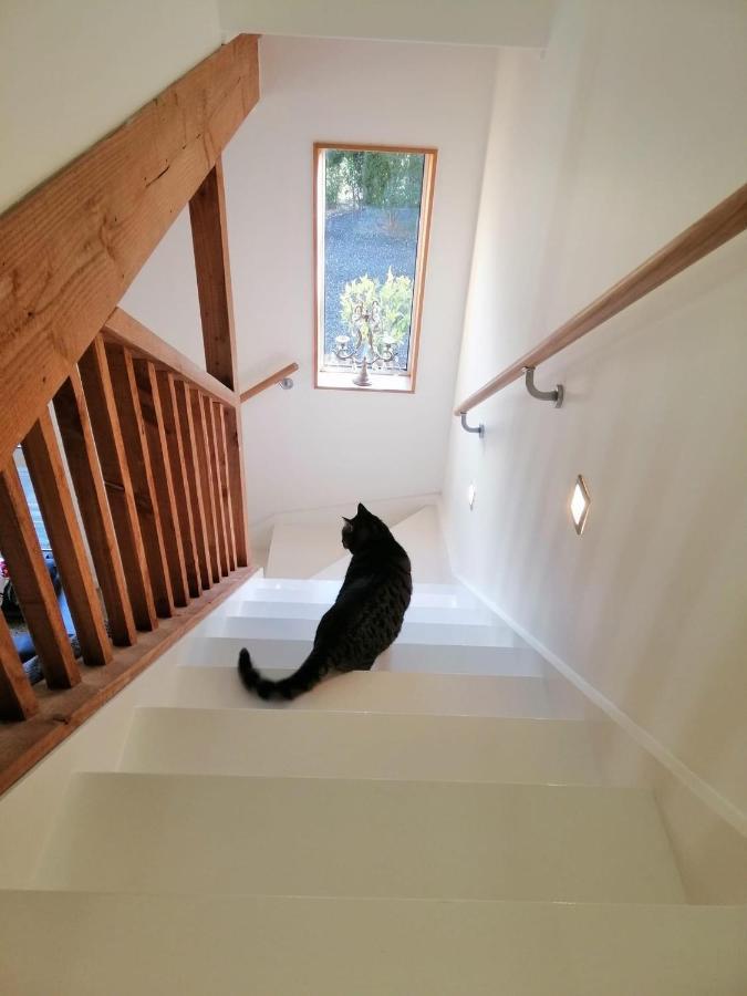 Beech Hill - Pet Friendly Holiday Home Tasman Экстерьер фото