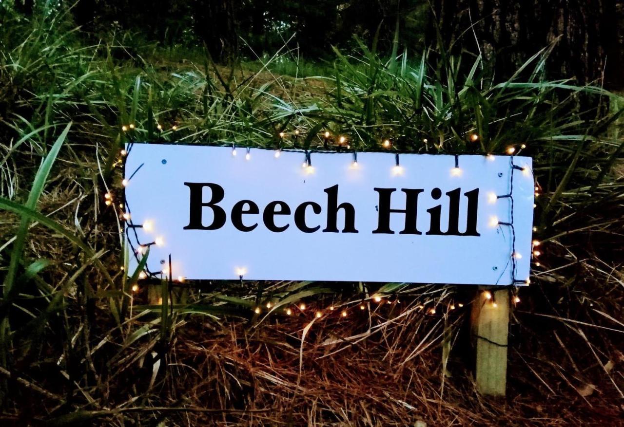 Beech Hill - Pet Friendly Holiday Home Tasman Экстерьер фото