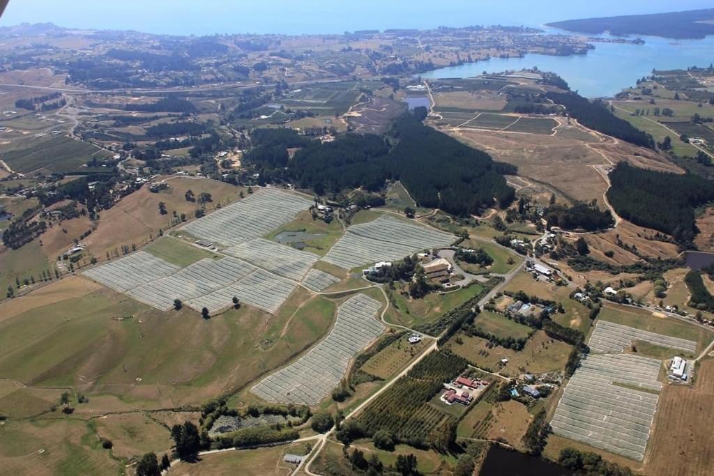 Beech Hill - Pet Friendly Holiday Home Tasman Экстерьер фото