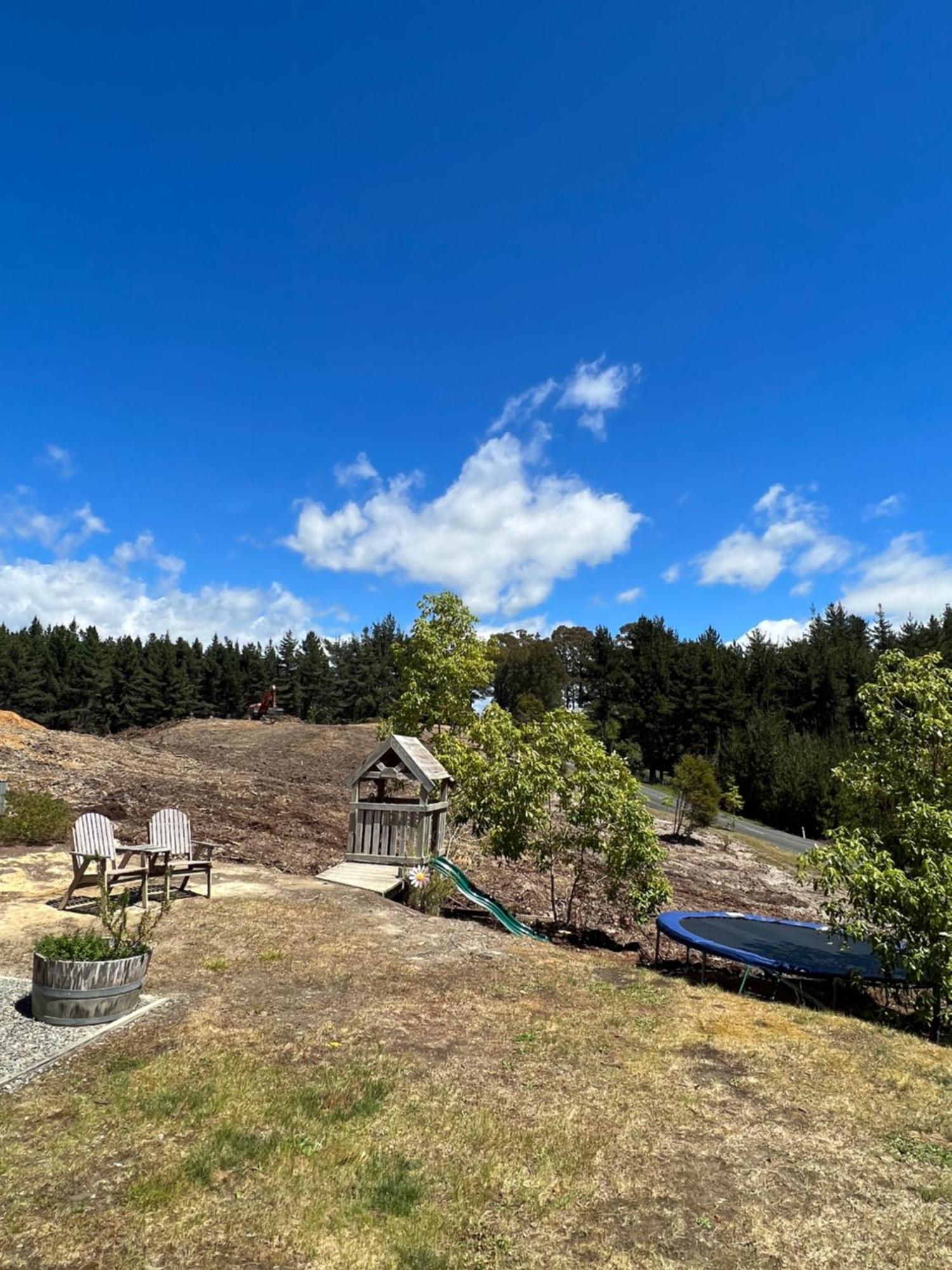 Beech Hill - Pet Friendly Holiday Home Tasman Экстерьер фото